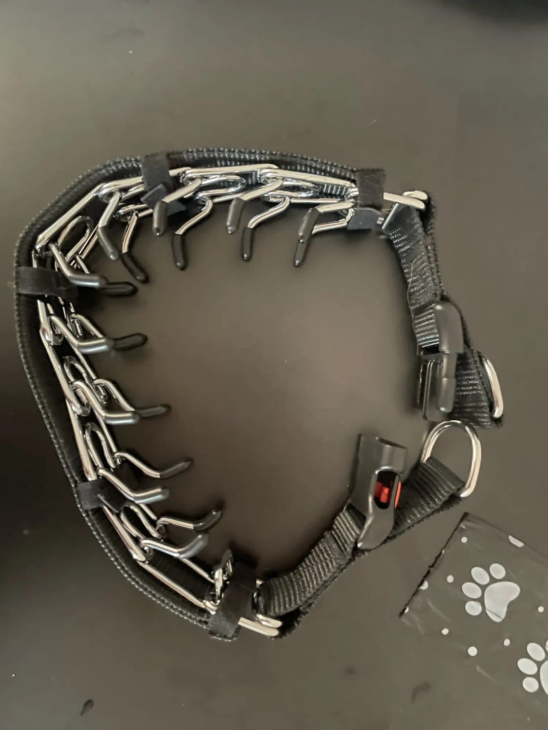 Customer photo review of Dog Training Prong Collar with Quick Release Buckle & Nylon Cover