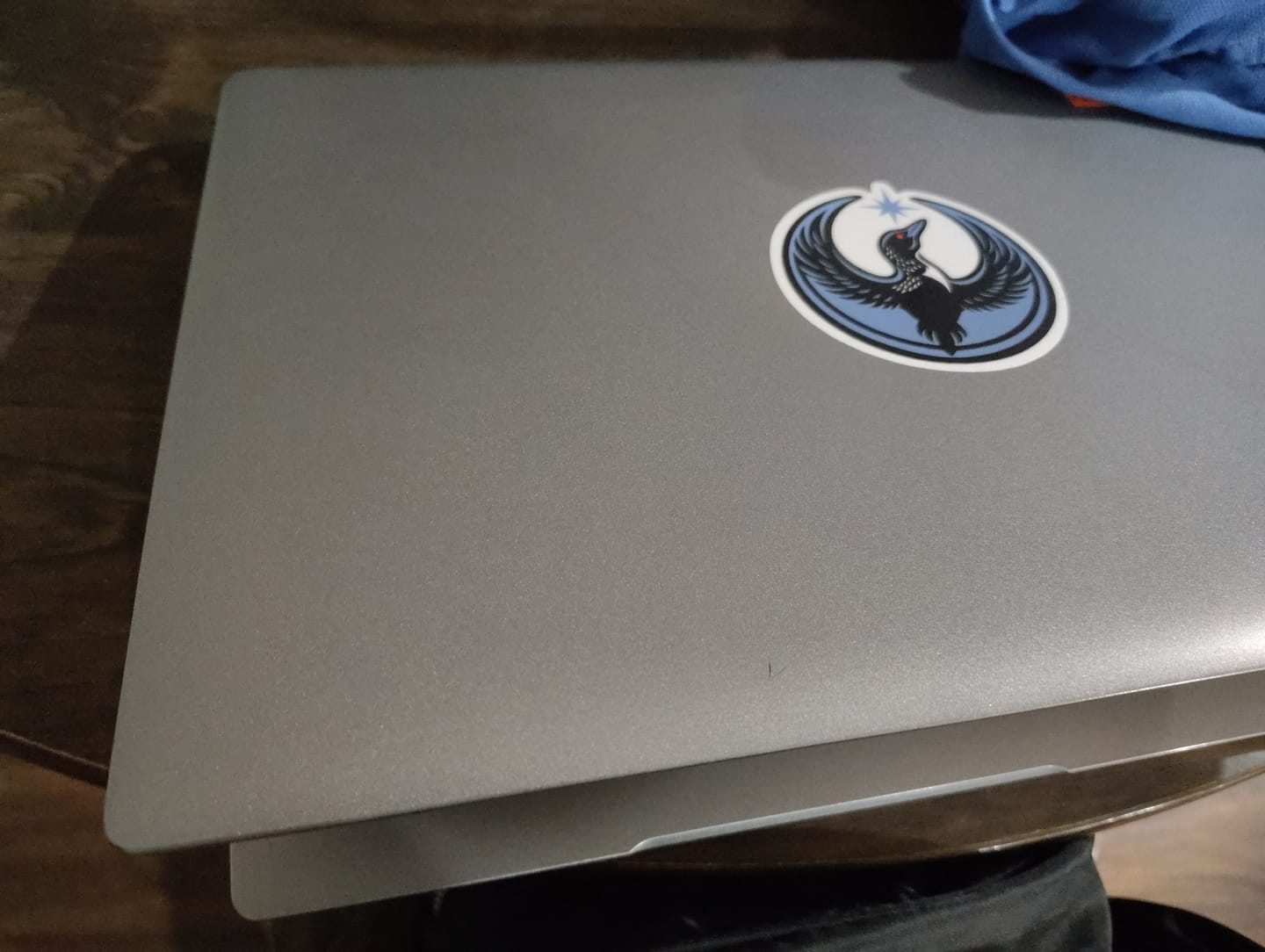 Customer photo review of Rebel Loon Sticker