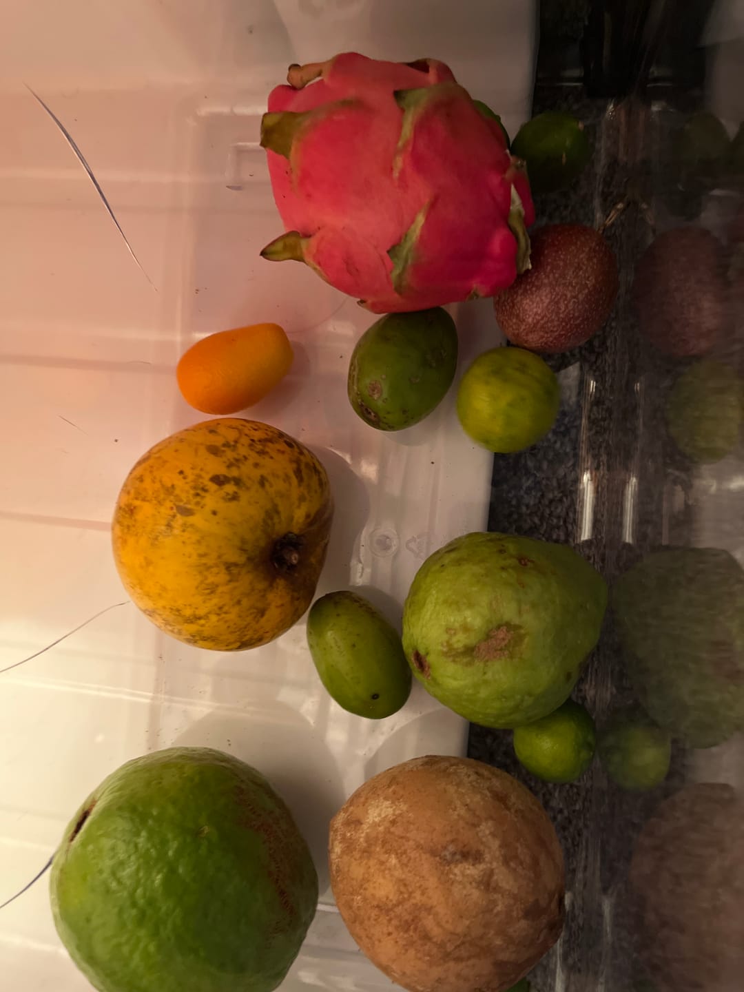 Customer photo review of Variety Box