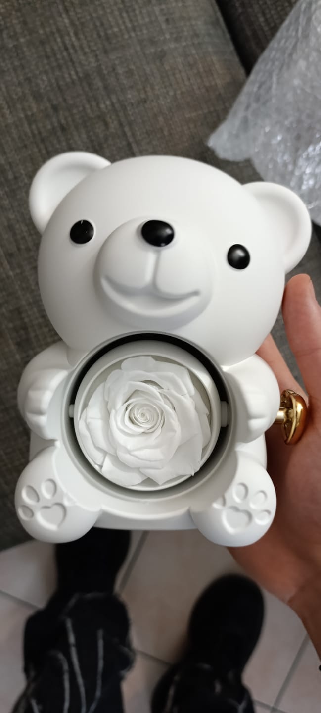 Customer photo review of Eternal Rose Bear & Personalized Necklace