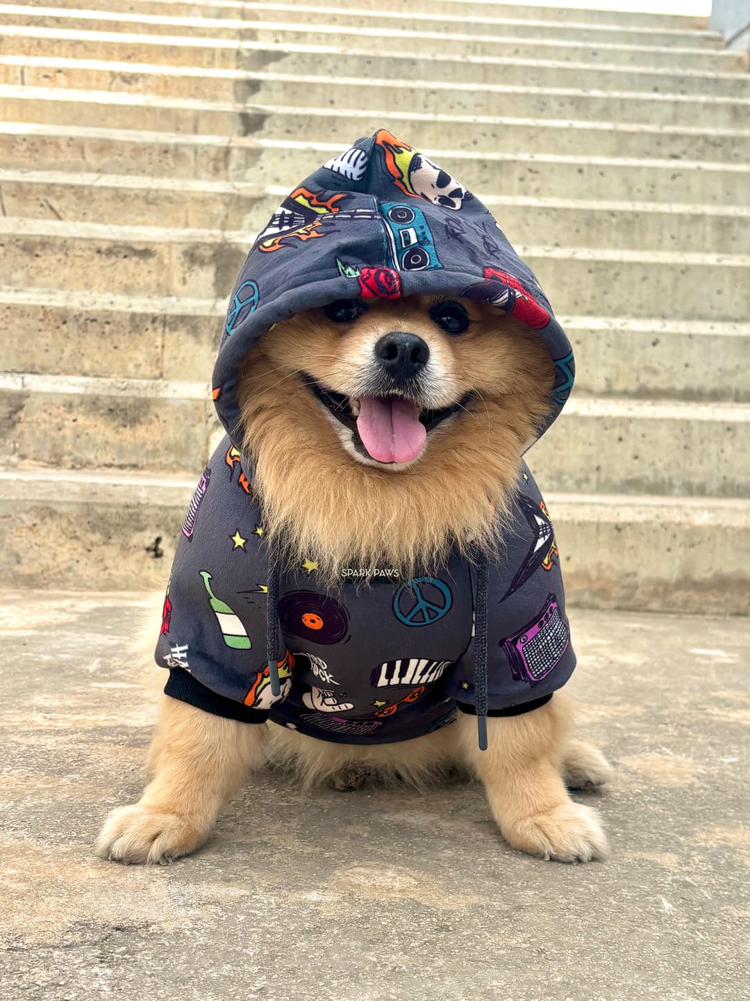 Customer photo review of Rock and Roll Dog Hoodie