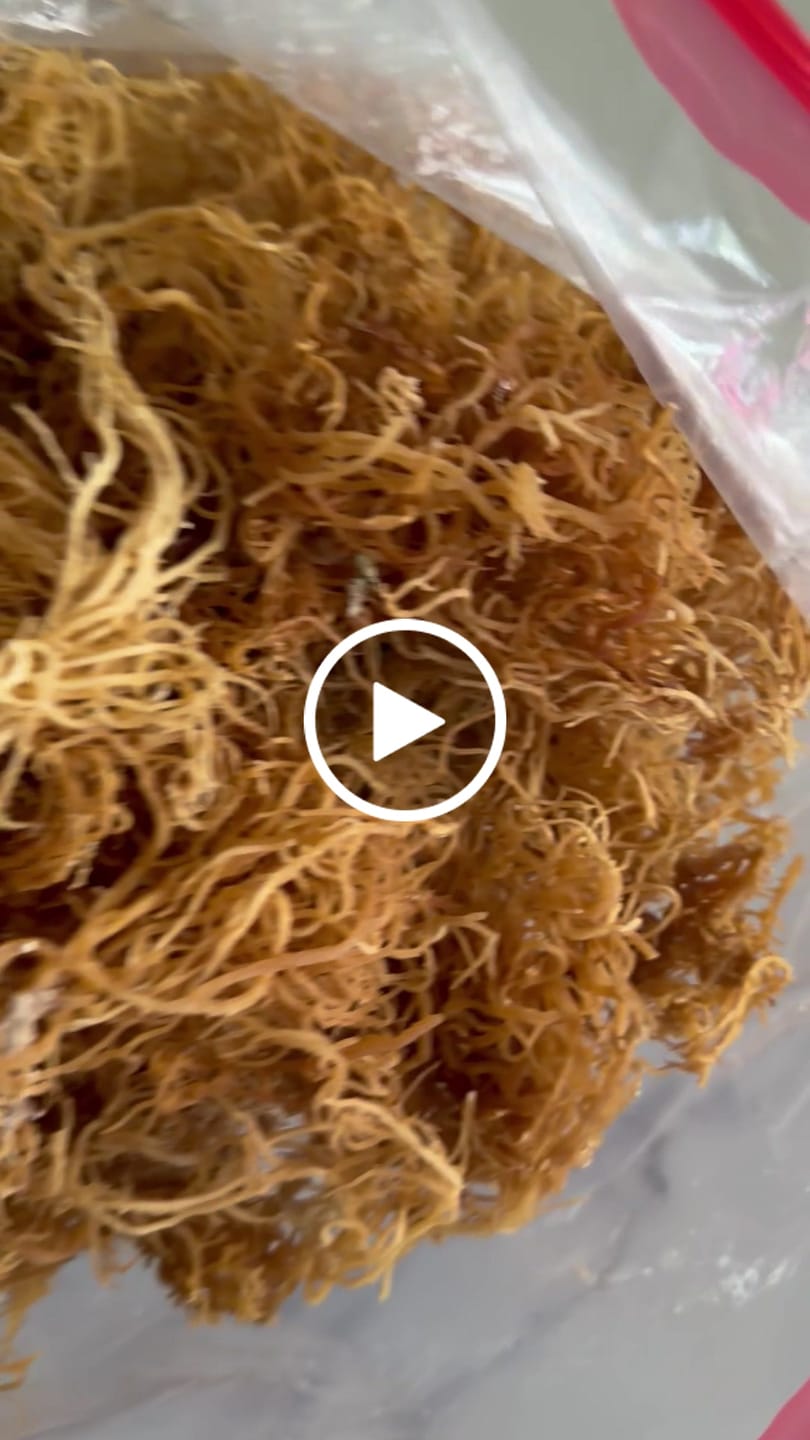 Customer video review of Wildcrafted St Lucian Sea Moss from the pristine waters of St. Lucia