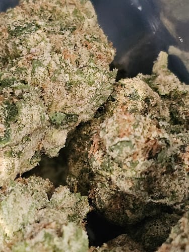 Customer photo review of Colombian Gold THCA Flower