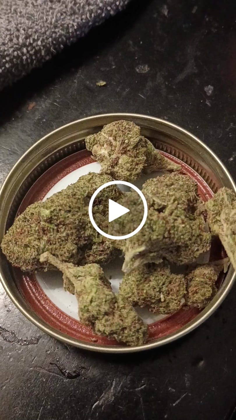 Customer video review of OG Kush Flower