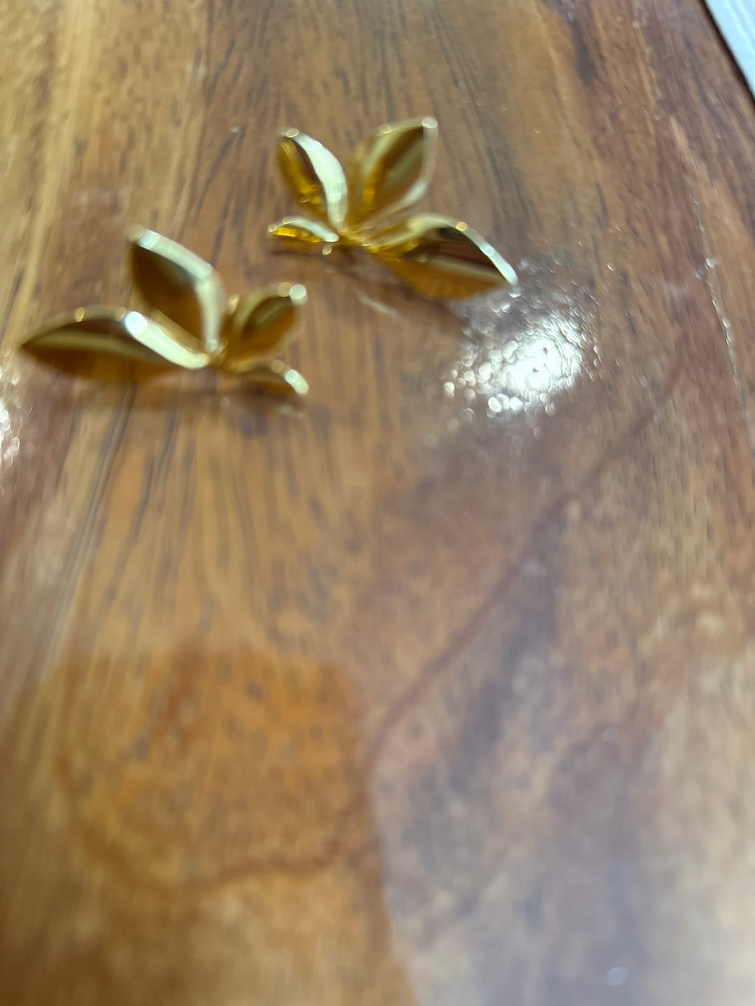 Customer photo review of Aretes Oliva