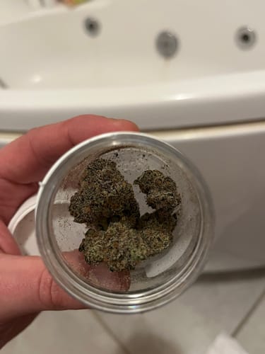 Customer holding an open jar of Blue Zushi THCA, showing the dark, compact buds inside.