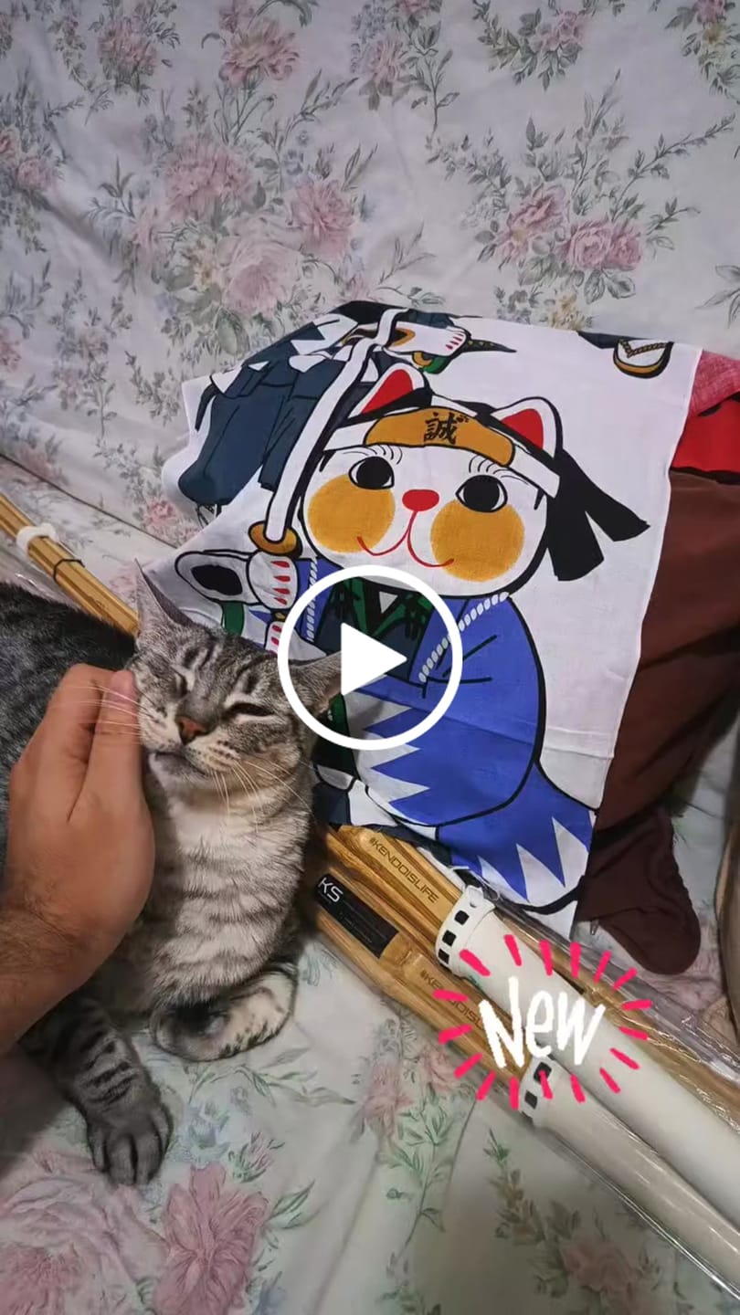 Customer video review of SAMURAI CATS Design Deluxe Tenugui