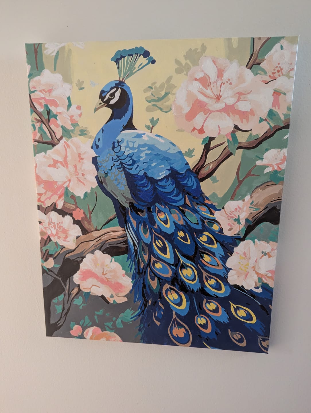 Customer photo review of Charming Peacock