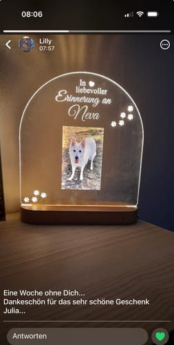 Customer photo review of Zur liebevollen Erinnerung – LED-Lampe für Hund/Katze