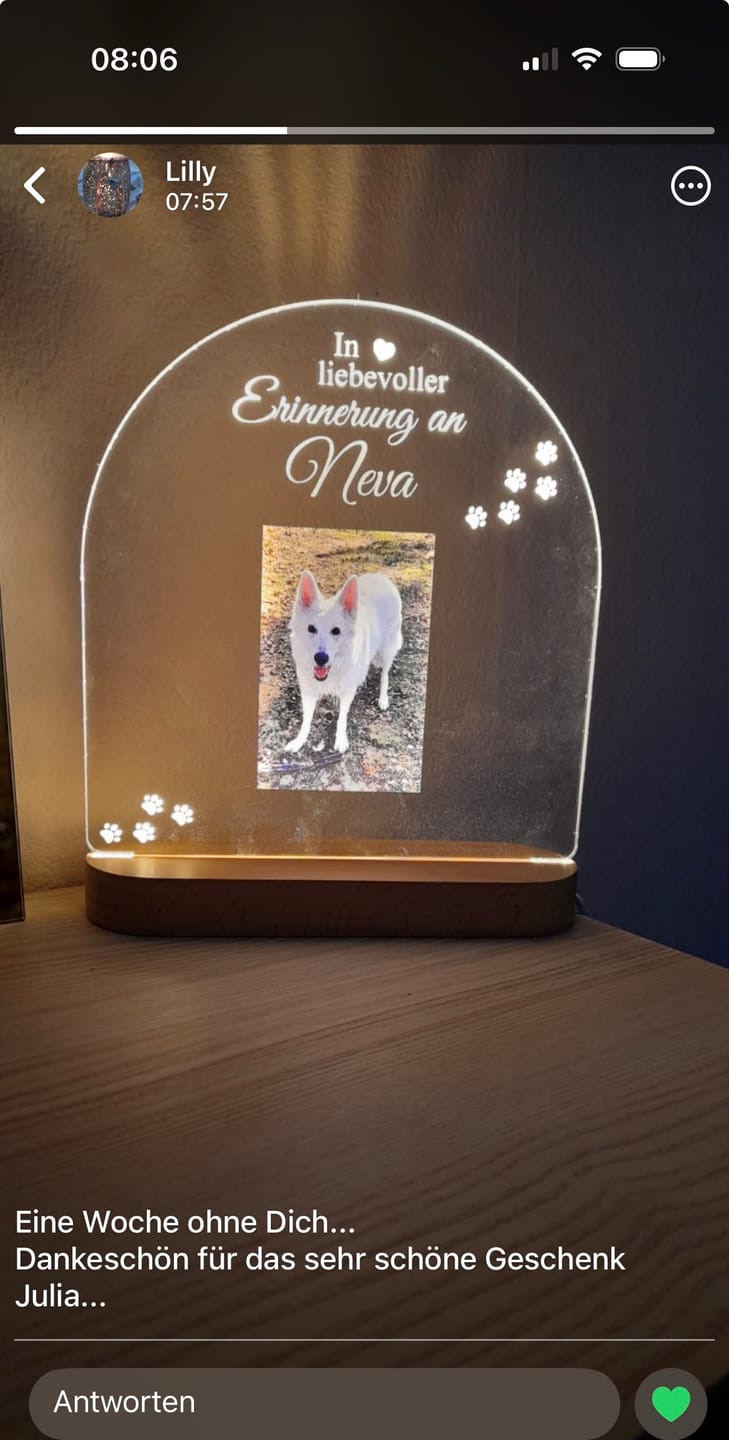 Customer photo review of Zur liebevollen Erinnerung – LED-Lampe für Hund/Katze