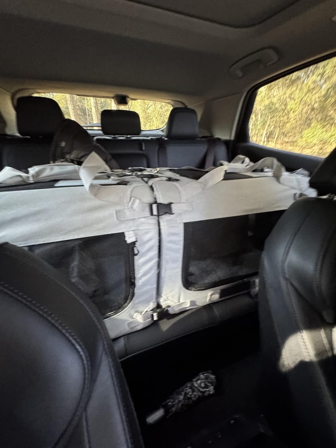 Customer photo review of Pets Gear Foldable Pet Car Carrier