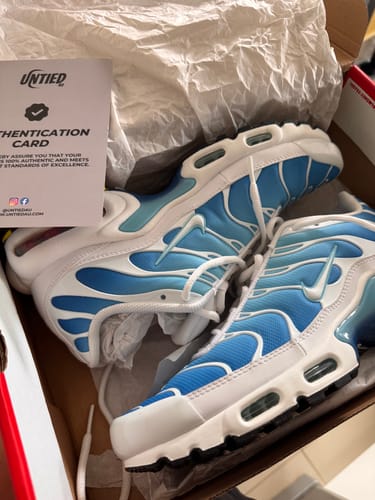 Customer photo review of Nike Air Max Plus TN 'Battle Blue'