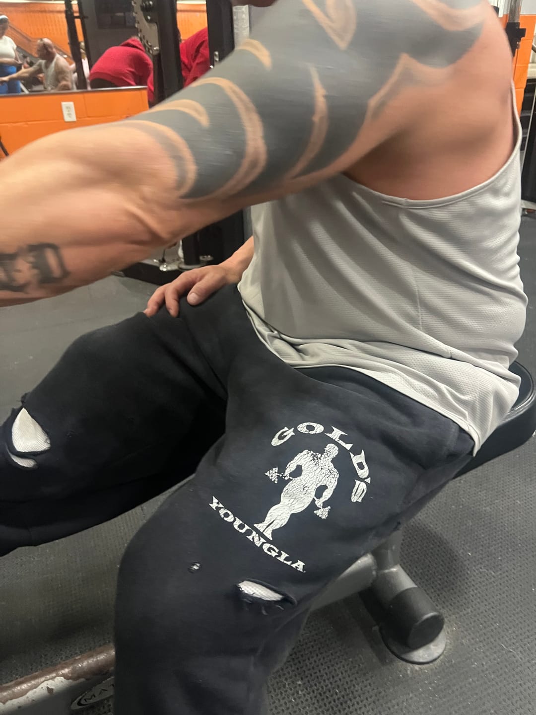 Customer photo review of 2054 - Gold's Iron Legacy Layered Joggers