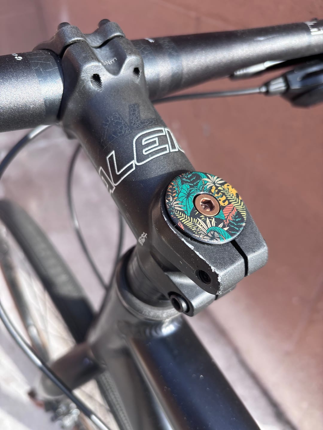 Customer photo review of Botanic Revival Topcap