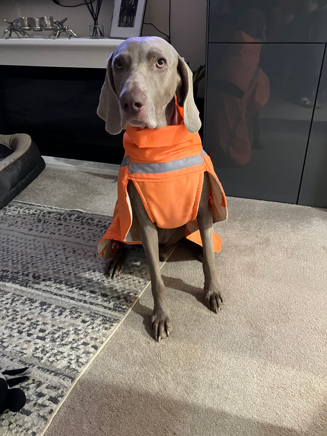 Customer photo review of Water Resistant Ripstop Fabric