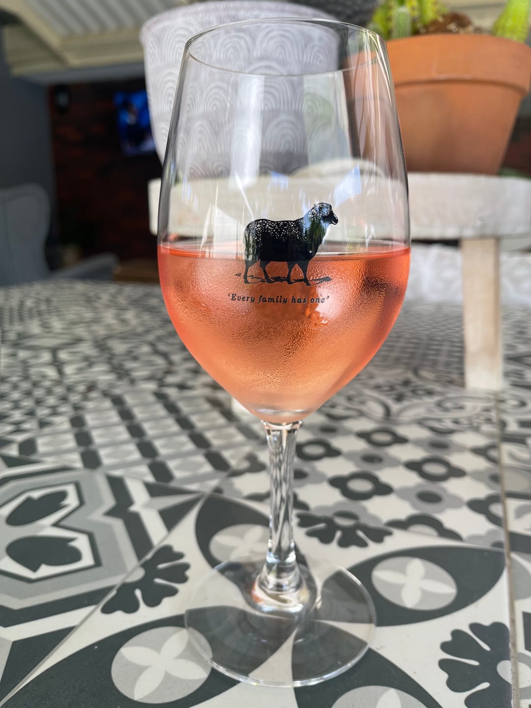 Customer photo review of Summer - 6 Pack