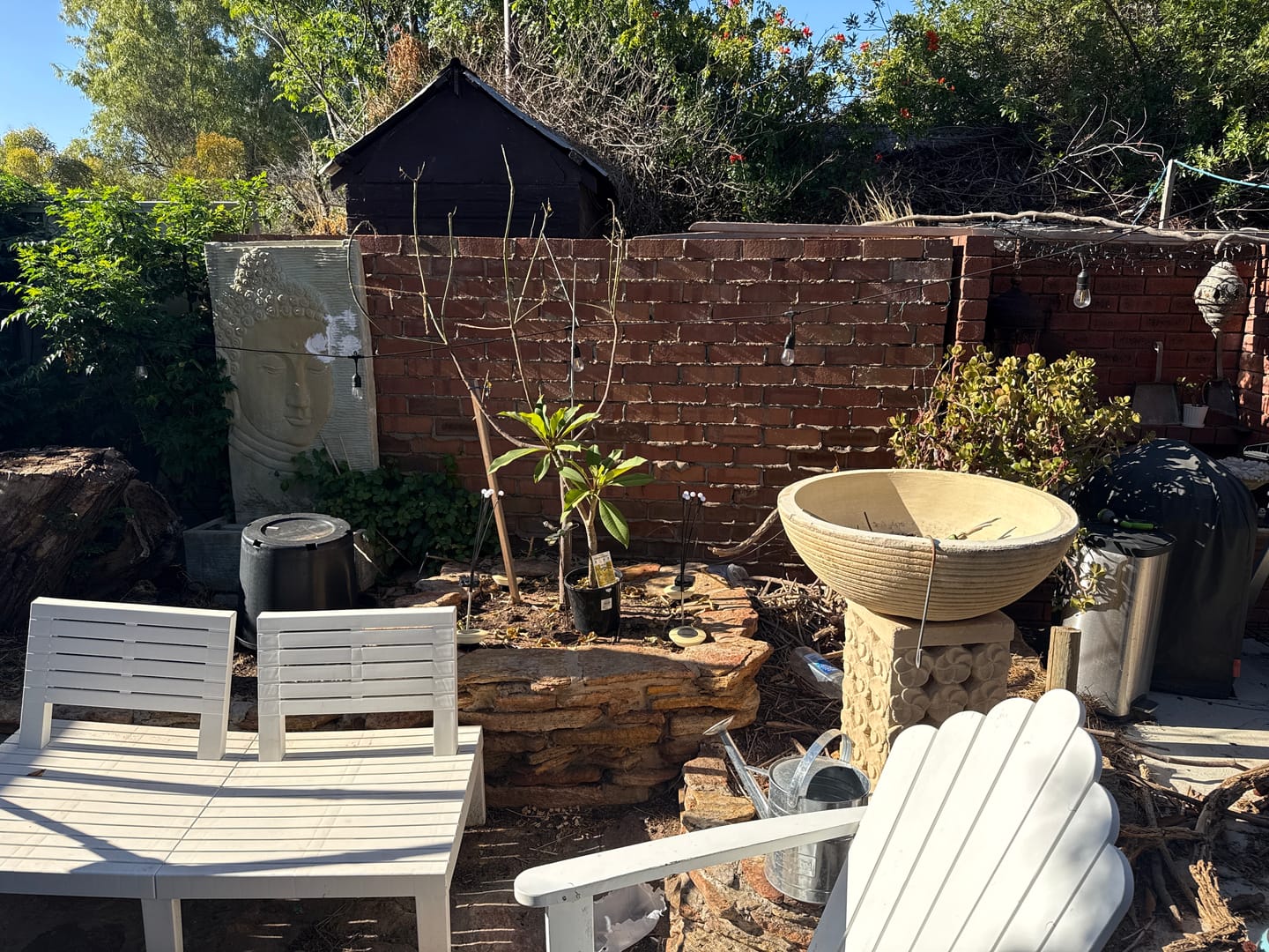 Customer photo review of Firefly Solar Lights