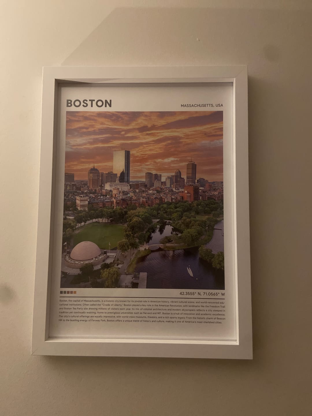Customer photo review of Boston