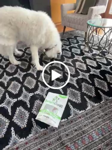 Customer video review of Beef Tendon Chews 7-11"