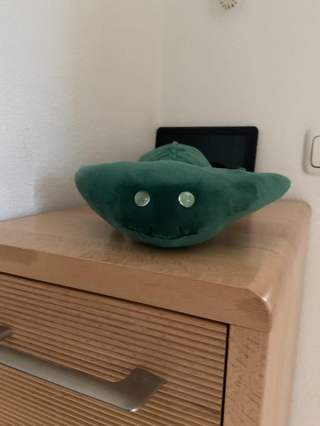 Customer photo review of Diplocaulus Soft Stuffed Plush Toy