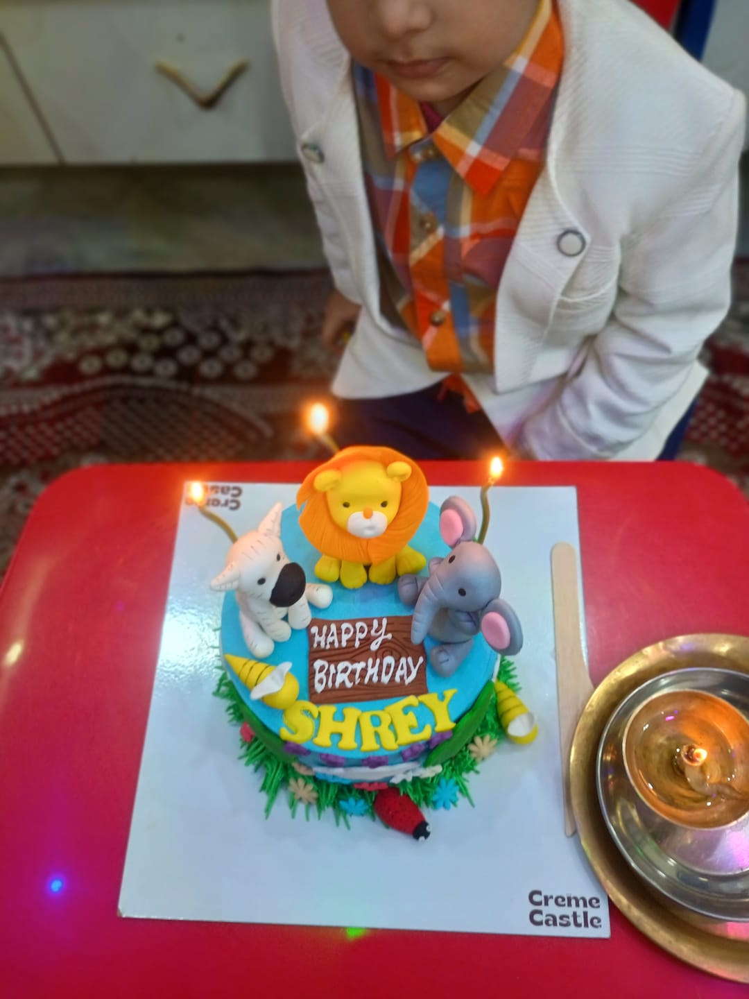 Customer photo review of Jungle Theme Cake for Kids