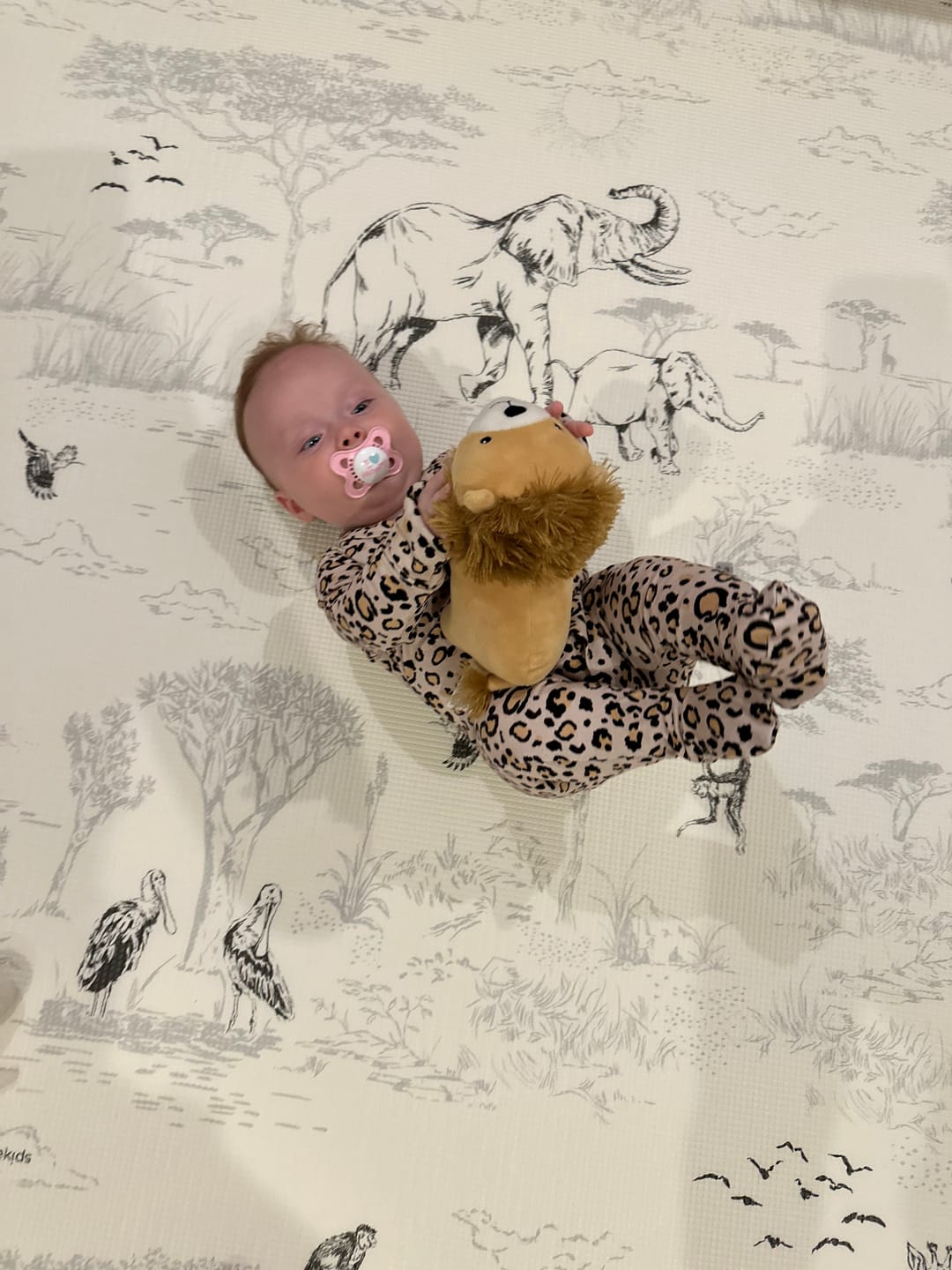 Customer photo review of Safari Toile/ Dune Play Mat