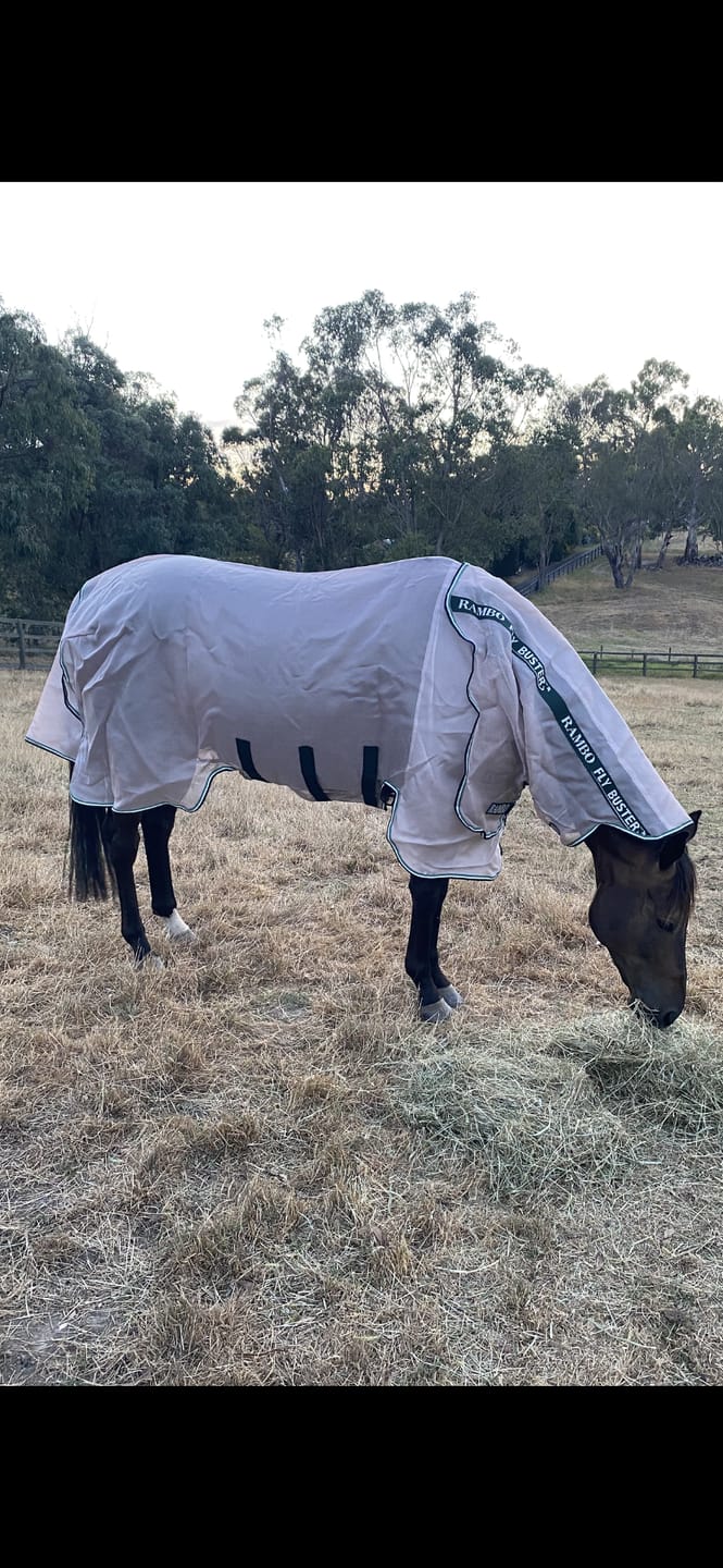 Customer photo review of Rambo Flybuster Vamoose NFZ