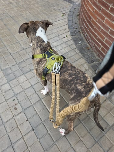 Customer photo review of Anti Pull Hurricane Harness Lighter | With Handle - Olive Green