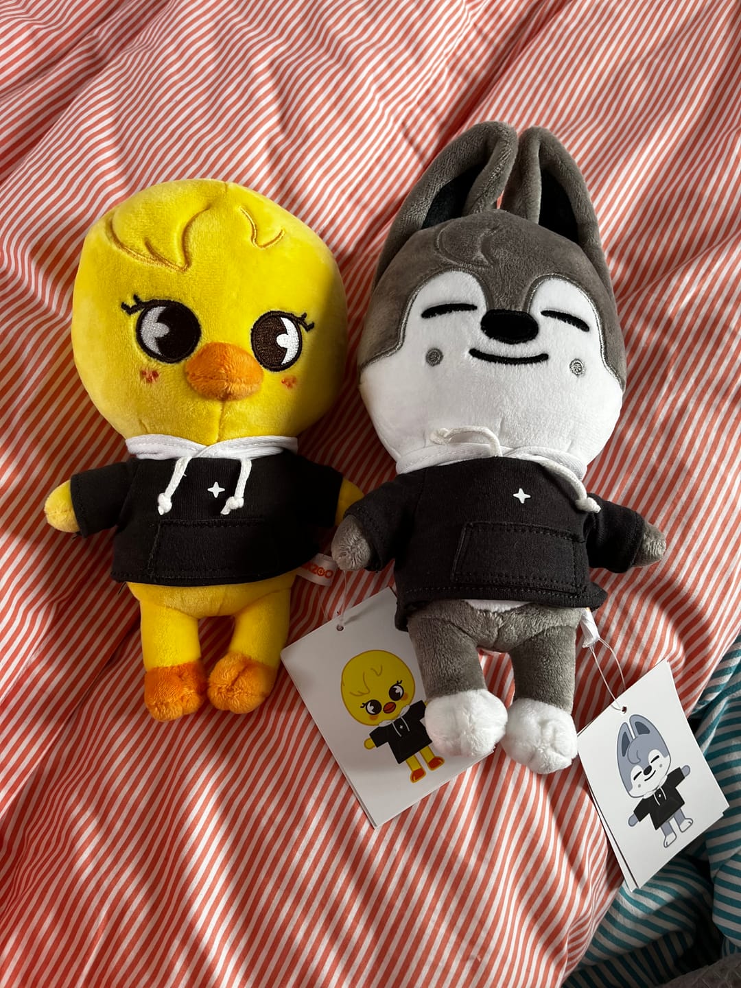 Customer photo review of STRAY KIDS - SKZ'S MAGIC SCHOOL OFFICIAL MD SKZOO PLUSH ORIGINAL VER.