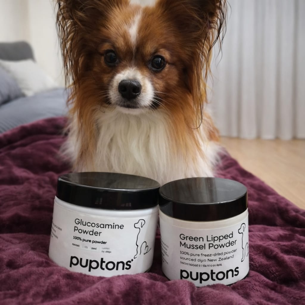 Customer photo review of Glucosamine Powder For Dogs