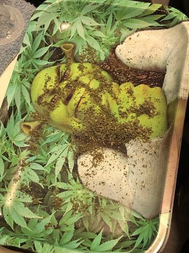 Customer photo review of Sugar Shake - 1oz