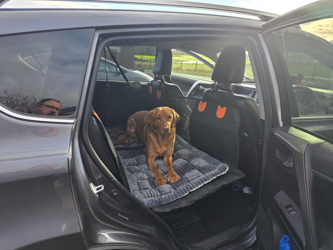 Customer photo review of The Guardian - Dog Seat Cover