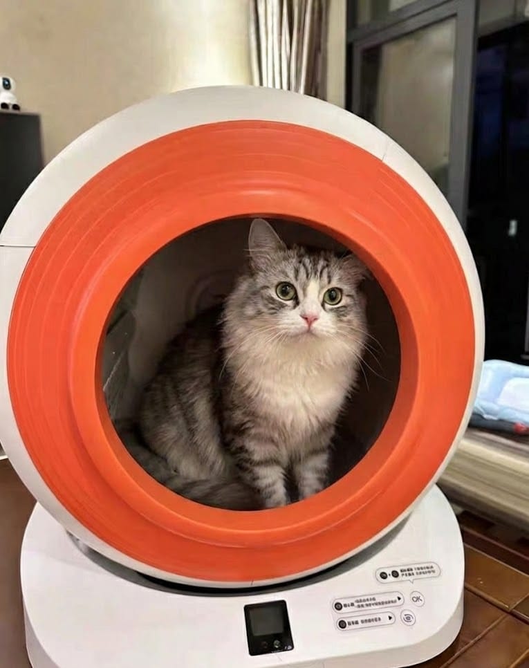 Customer photo review of The Tonepie Q-CLEAN Self-Cleaning Litter Robot