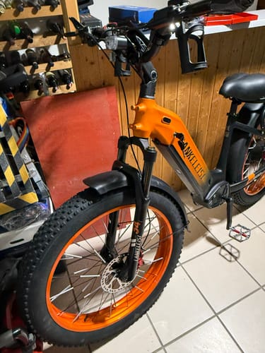 Customer photo review of Lankeleisi MG600 Plus 2025 Version 26" Fat Bike 960Wh All Terrain SUV E-Bike with Torque Sensor 48V 20Ah Battery  [Pre-order]