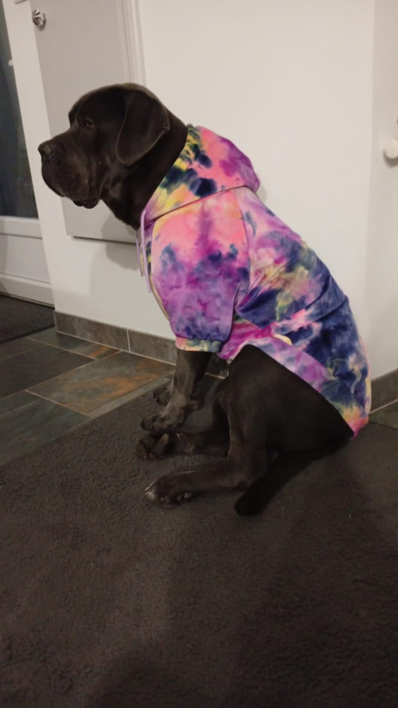 Customer photo review of Velvet Dog Hoodie - Berry Lemonade
