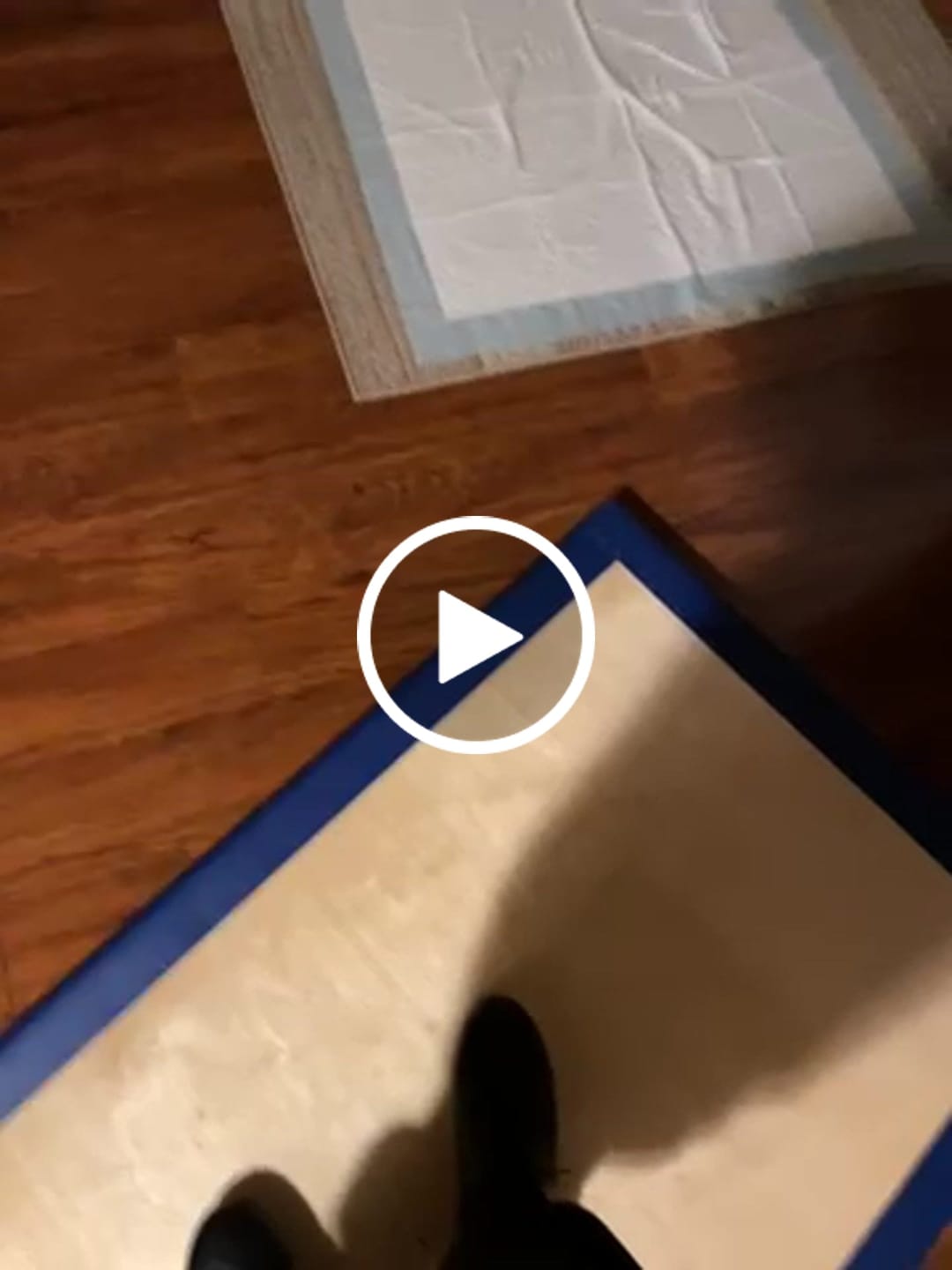 Customer video review of The Perfect Portable Tap Floor™ + The FanTAPstic Floor Pack