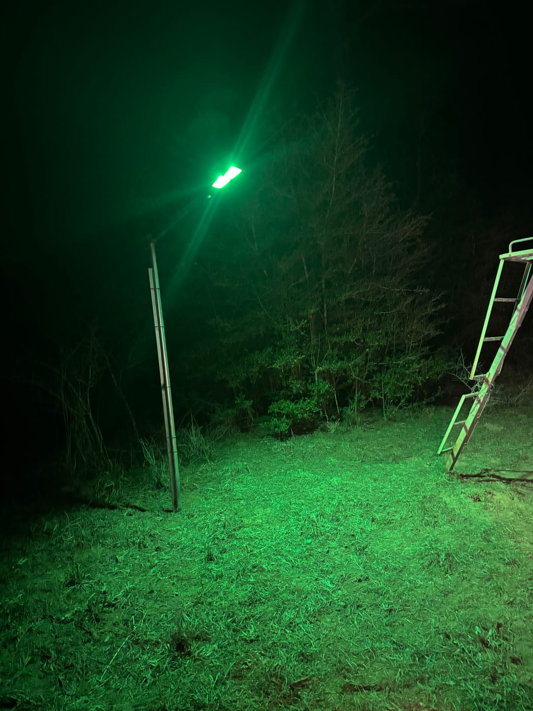 Customer photo review of Solar Green Feeder Light for Hunting -10,000 lumens (2 Pack)