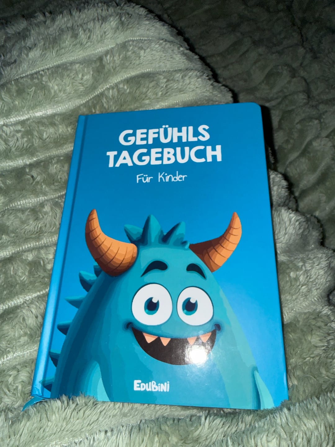 Customer photo review of Edubini Gefühlstagebuch für Kinder