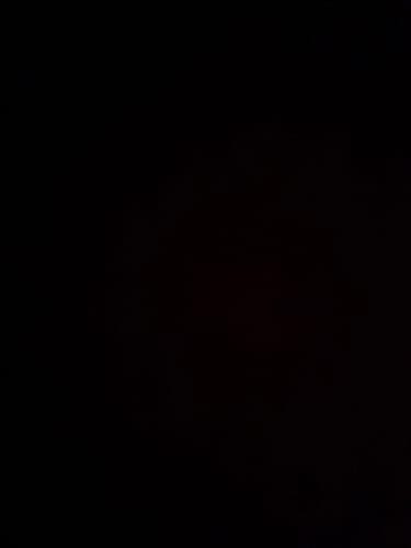 Customer photo review of Sentry - 9cm (3.5")