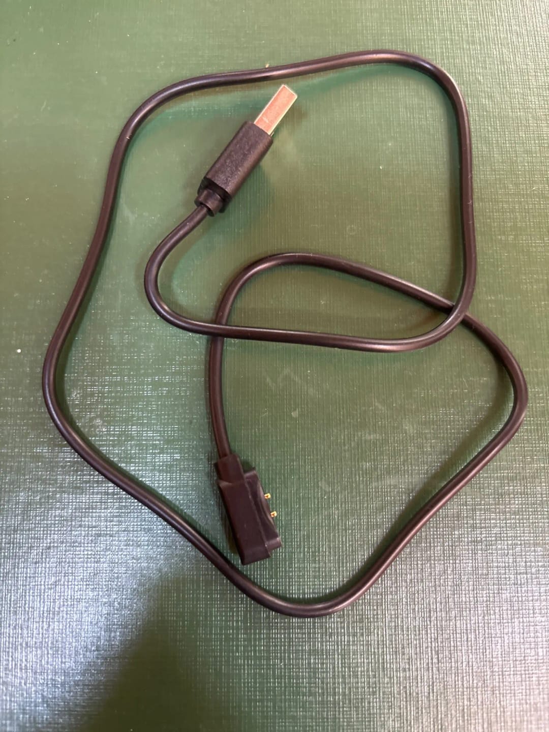 Customer photo review of Dog Training Collar with Remote – 1000ft Range