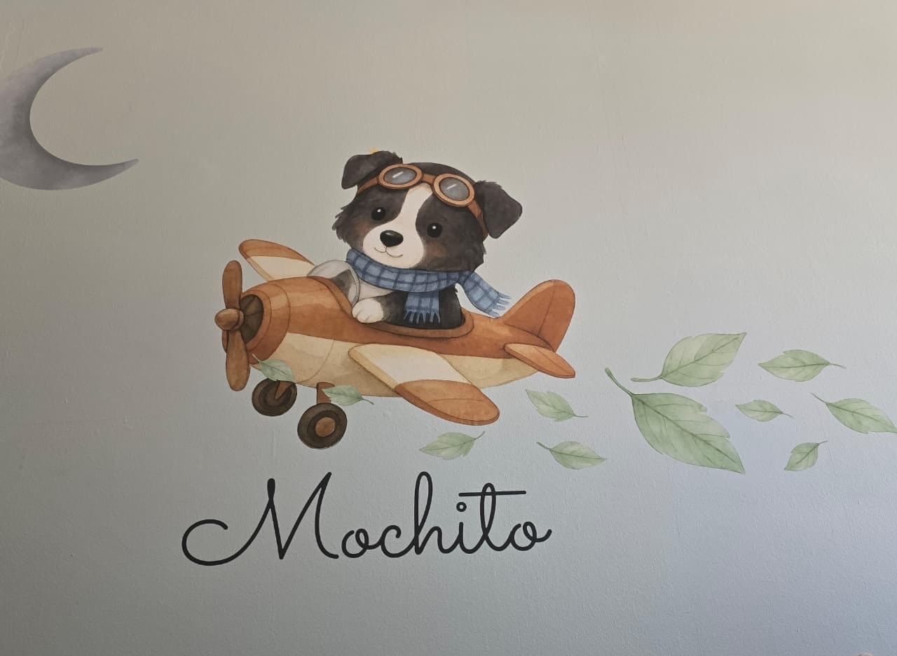 Customer photo review of Perrito aviador (Border Collie)