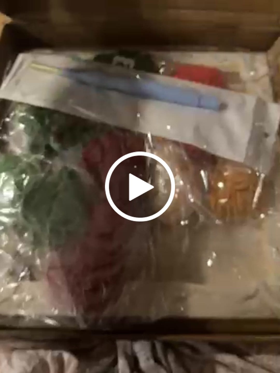 Customer video review of Forest Mushroom