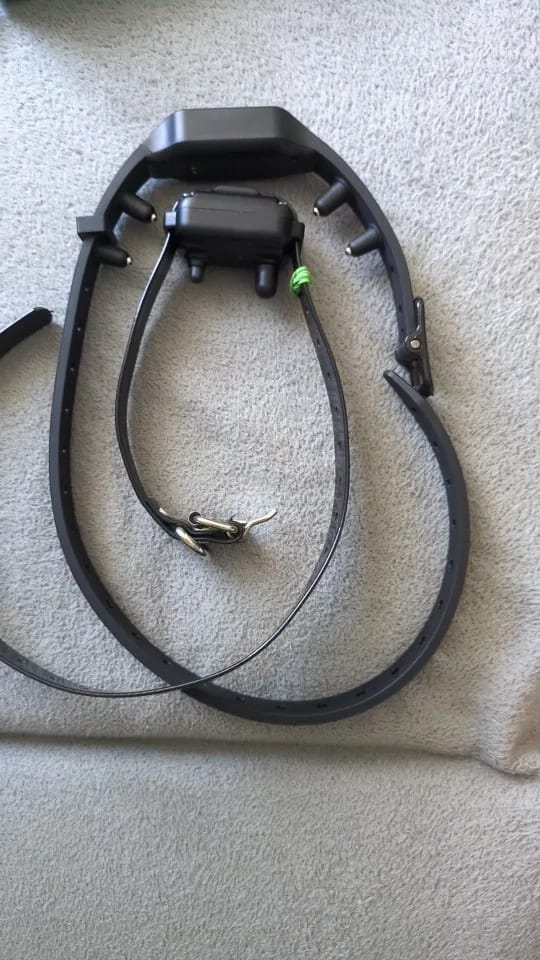 Customer photo review of Dog Training Collar with Remote – 1000ft Range
