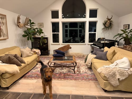 Customer photo review of PB Carlisle English Arm Grand Sofa Cover 91"