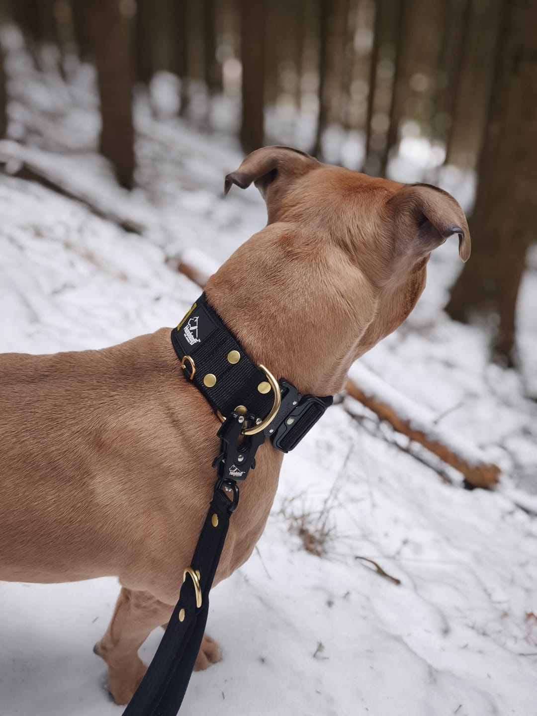 Customer photo review of Multi Guard Leash Golden Svart - Multi-väktarkoppel