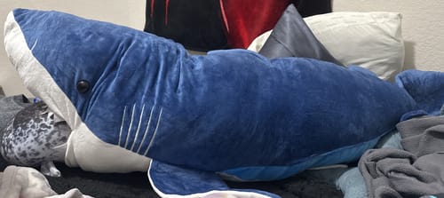 Customer photo review of Giant Shark Soft Stuffed Plush Toy