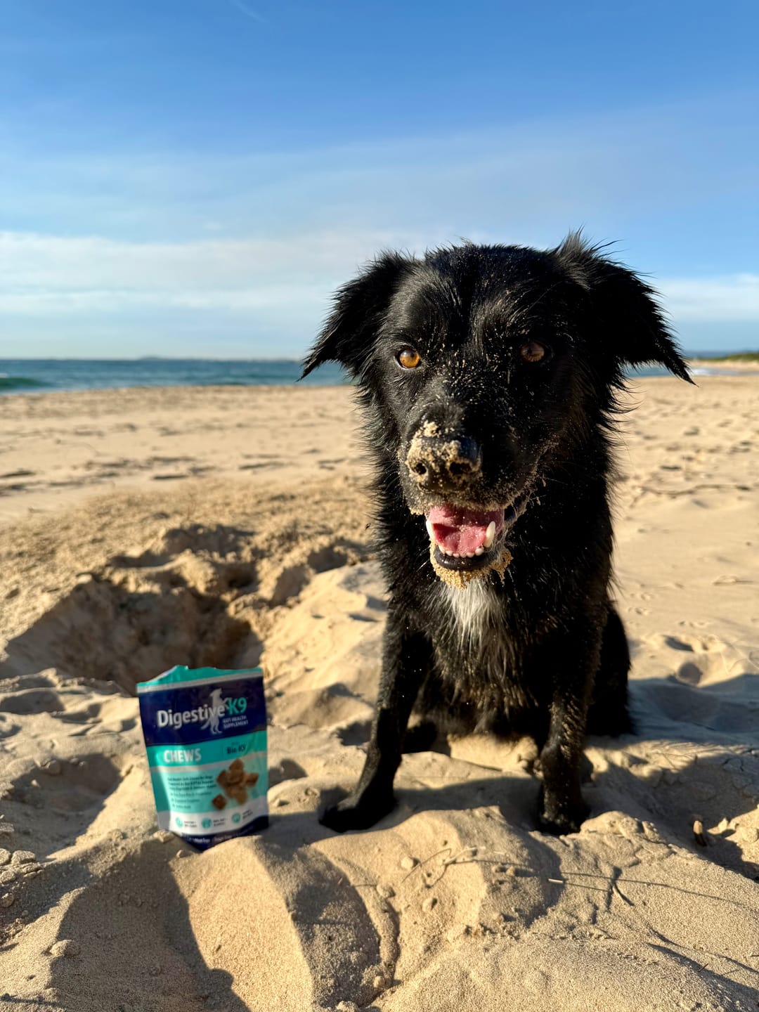 Customer photo review of Digestive K9 Powder