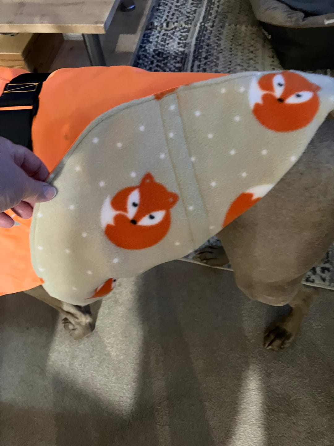 Customer photo review of Sleeping Foxes Anti Pill Polar Fleece Fabric