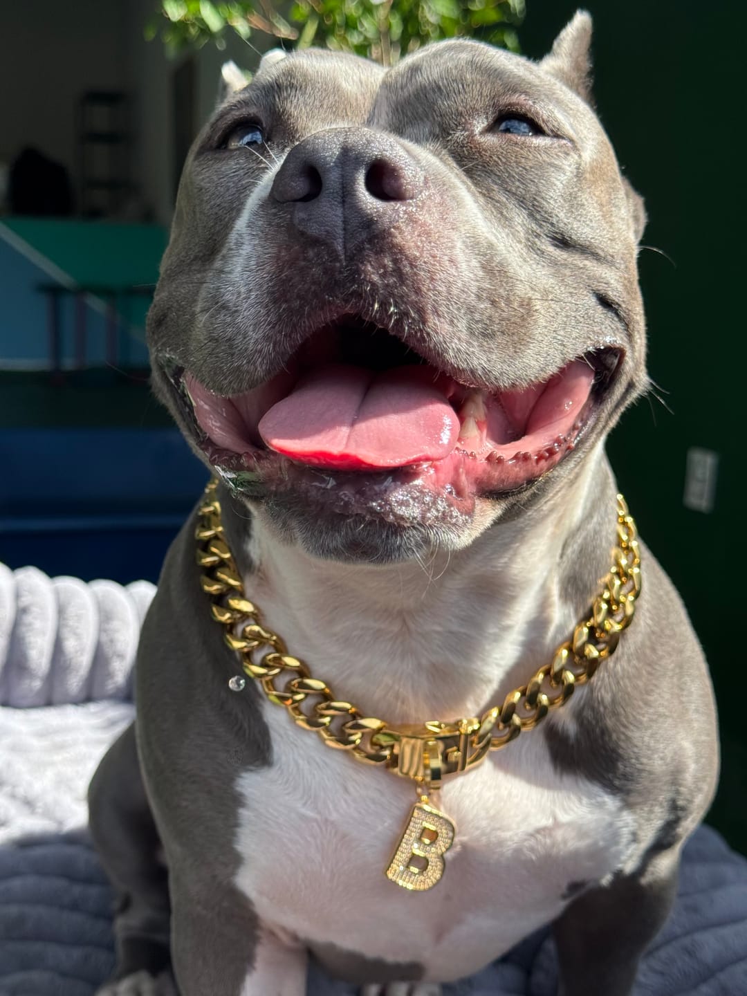 Customer photo review of Initial Letter Jewelry Dog Tag(A-Z)