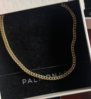 Customer photo review of Rounded Link Statement Chain for Men